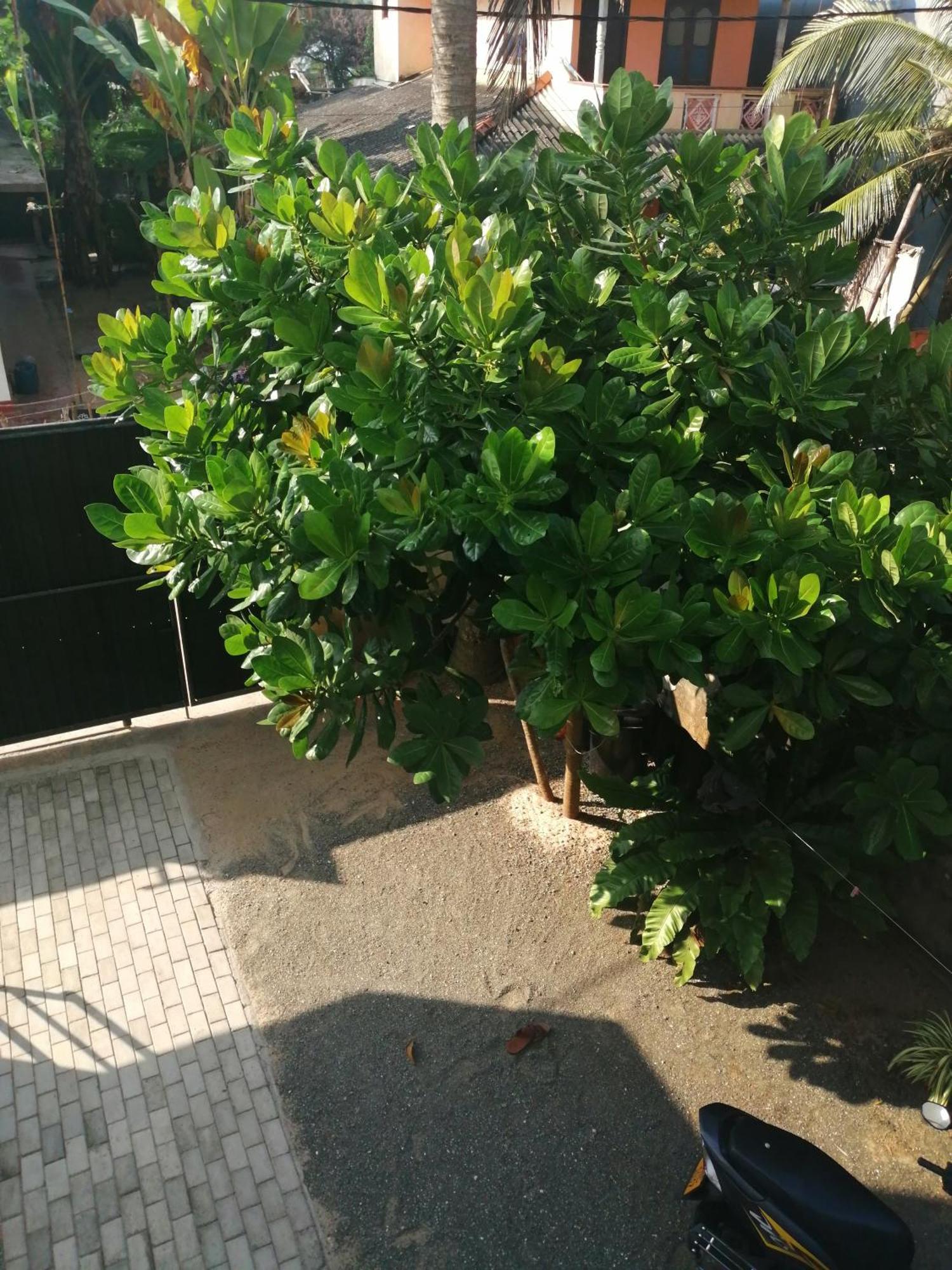 Sena Home Ambalangoda  Kamer foto